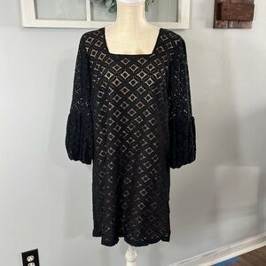 🖤 ANNA SUI w/ ANTHROPOLOGIE 💛 Illusion Corby Black Lace Balloon Sleeve Dress sz8
